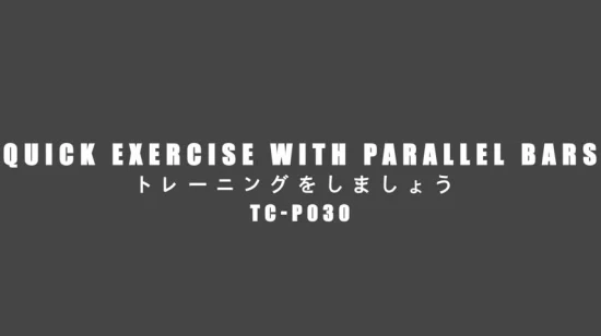 피트니스 액세서리, 피트니스 장비, DIP 바 스테이션, 안정 장치, 평행 푸시 업 스탠드030